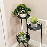 Apartman Graceful Purgatory By Ca-sa Check *
